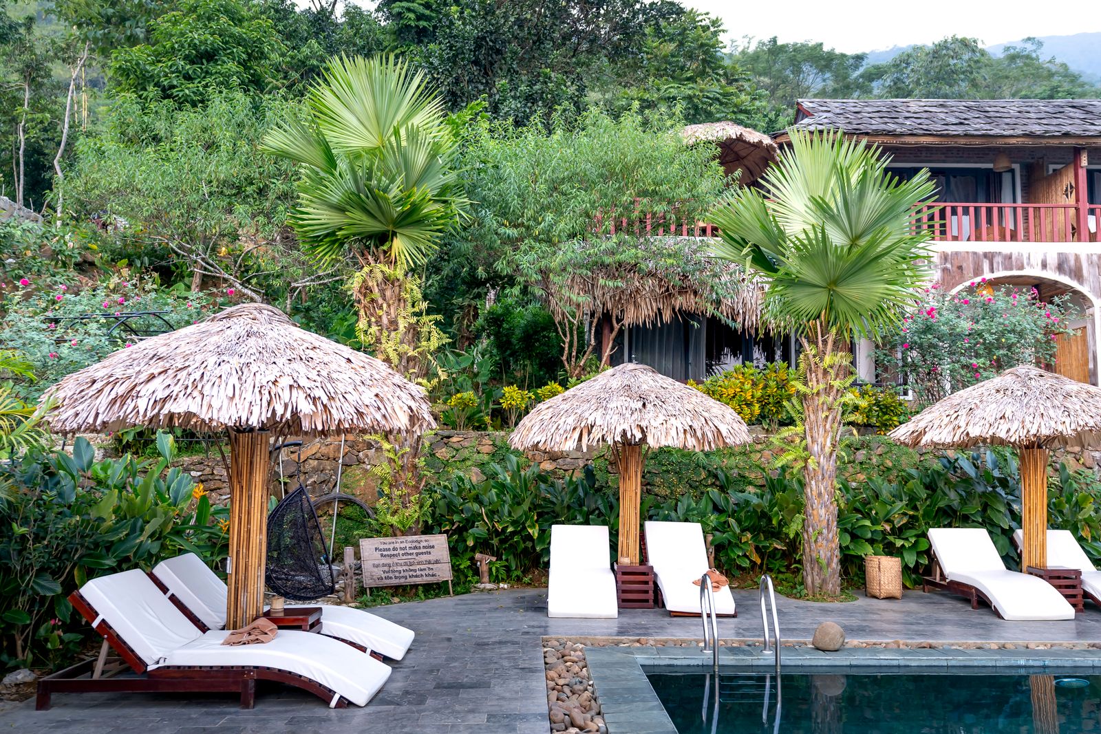 Loungers beside a swimming pool at a resort surrounded by green plants